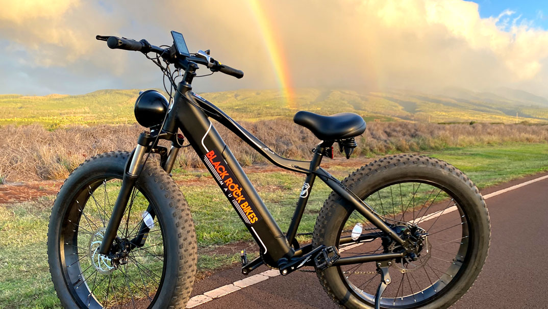 trustmade limited series electric bicycle Freedare Eden Step-thru Bike with APP Control Conquer Every Trail with the Trustmade Bobcat Melody CPO E-Bike Green /