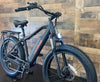 Shaka (750W Hybrid Cruiser)