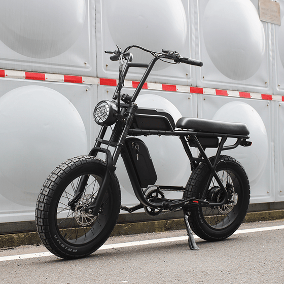 Ripper Pro - Dual-Battery 48V 750W Moto Style Electric Bike