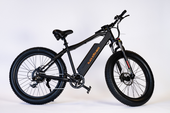 island mountainbike Island Warrior (750W Mountain Bike) – Black Rock Bikes USA