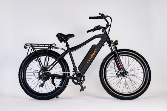 Shaka (750W Hybrid Cruiser)